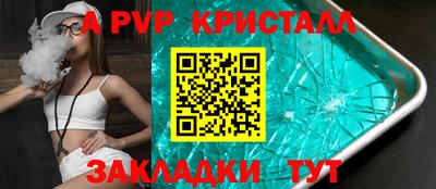 амф Кингисепп