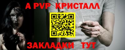 амф Кингисепп