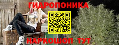 амф Кингисепп