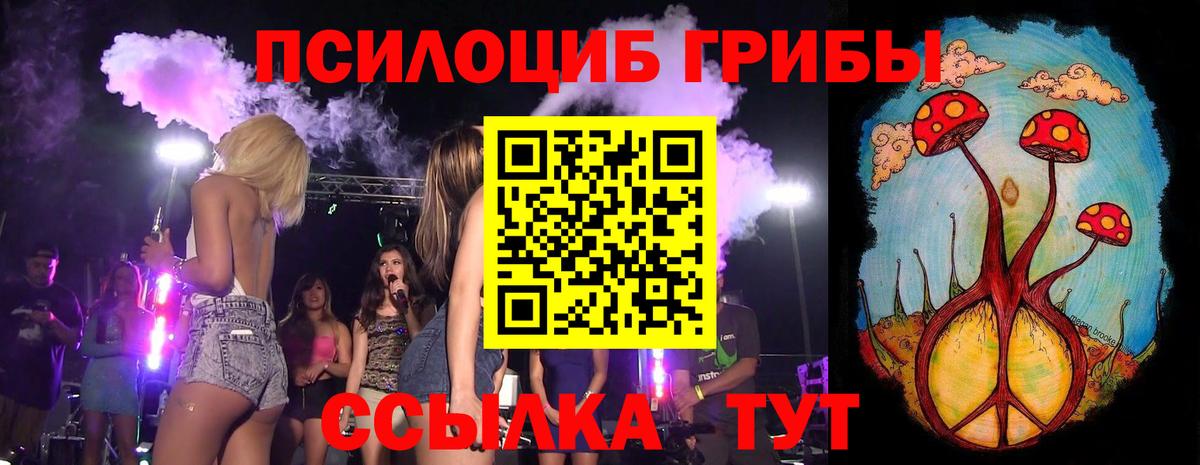 Псилоцибиновые грибы прущие грибы Кувандык