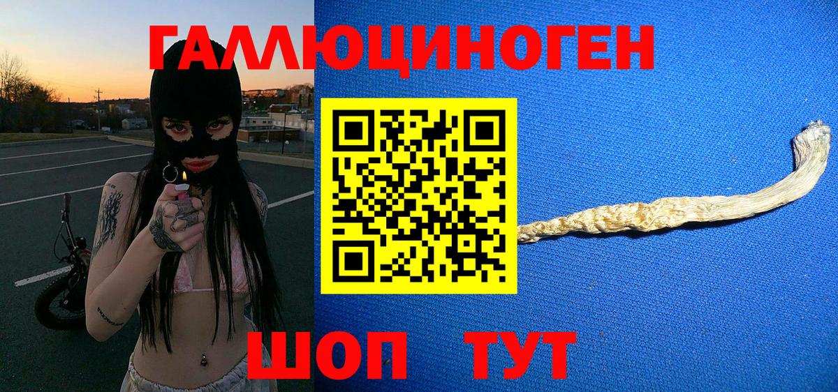 Псилоцибиновые грибы Cubensis  где найти наркотики  Кувандык  Галлюциногенные грибы мицелий  Вход с VPN 